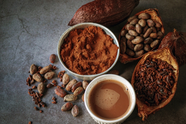 カカオ豆イメージ